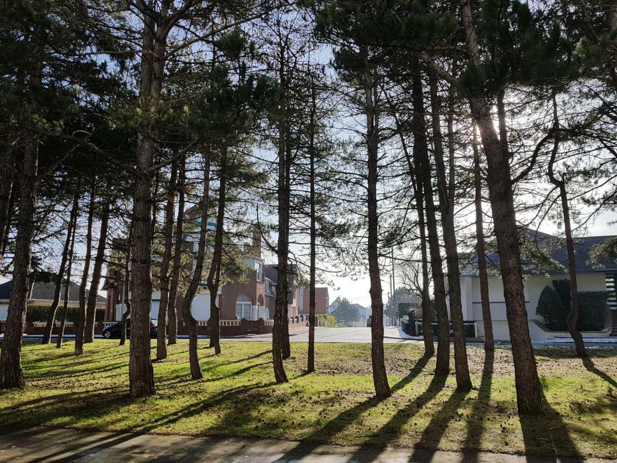 Sunny Days - App 60 M2 Avec Balcon, 4 Pers, 3E Etage, Au Calme Et Ensoleille Daire Le Touquet Dış mekan fotoğraf